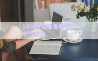SX城鄉(xiāng)建設(shè)發(fā)展債權(quán)資產(chǎn)項(xiàng)目
