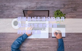 武陟縣城市建設(shè)投資開發(fā)2025年債權(quán)項(xiàng)目政府債定融