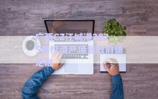 廣西CZ江城港2025債權(quán)資產(chǎn)項(xiàng)目政府債定融