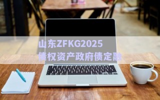 山東ZFKG2025債權(quán)資產(chǎn)政府債定融