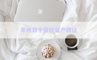 牟州數(shù)字債權(quán)資產(chǎn)轉(zhuǎn)讓