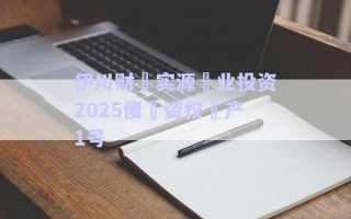伊川財(cái)?實(shí)源?業(yè)投資2025債?資權(quán)?產(chǎn)1號(hào)