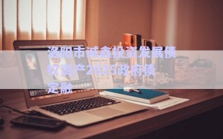 洛陽市誠(chéng)鑫投資發(fā)展債權(quán)資產(chǎn)2025政府債定融