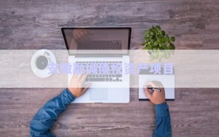 安徽融城債權(quán)資產(chǎn)項(xiàng)目