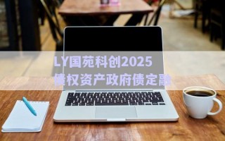 LY國(guó)苑科創(chuàng)2025債權(quán)資產(chǎn)政府債定融