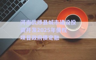 河南武陟縣城市建設(shè)投資開發(fā)2025年債權(quán)項(xiàng)目政府債定融