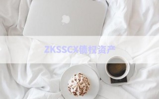 ZKSSCX債權資產(chǎn)