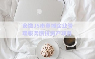 安徽JS市養(yǎng)城企業(yè)管理服務債權資產(chǎn)項目