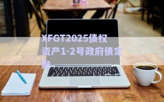 XFGT2025債權(quán)資產(chǎn)1-2號政府債定融