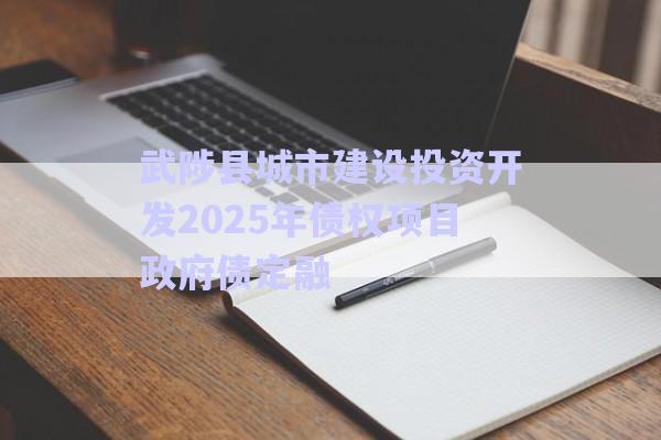 武陟縣城市建設投資開發(fā)2025年債權(quán)項目政府債定融-第1張圖片-政信固收網(wǎng)