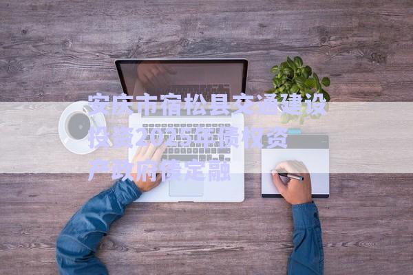 安慶市宿松縣交通建設(shè)投資2025年債權(quán)資產(chǎn)政府債定融-第1張圖片-政信固收網(wǎng)