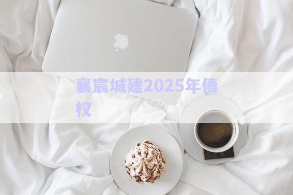 襄宸城建2025年債權(quán)-第1張圖片-政信固收網(wǎng)