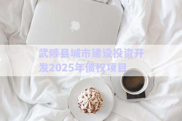 武陟縣城市建設(shè)投資開發(fā)2025年債權(quán)項目-第1張圖片-政信固收網(wǎng)